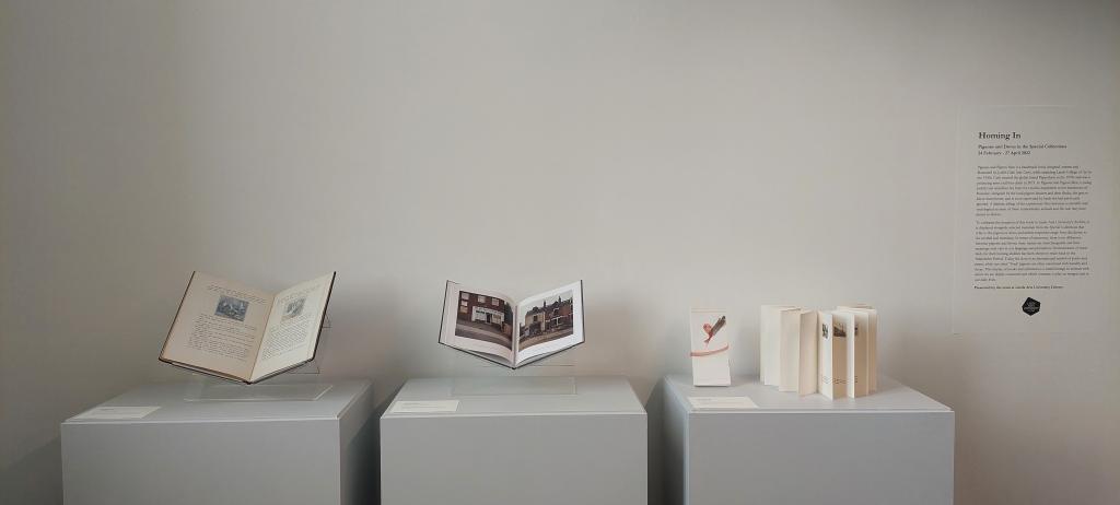 Thee special collection books displayed in a row on separate plinths for the exhibition 'Homing In'.